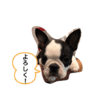 寛大の数食ん布（個別スタンプ：7）