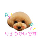 らにぼう（個別スタンプ：1）