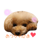 らにぼう（個別スタンプ：4）