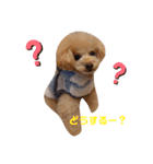 らにぼう（個別スタンプ：6）