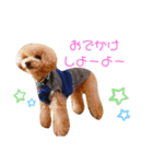 らにぼう（個別スタンプ：9）