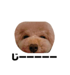 らにぼう（個別スタンプ：14）