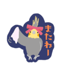 オカメインコパック（個別スタンプ：3）