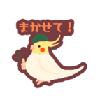 オカメインコパック（個別スタンプ：11）