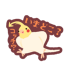 オカメインコパック（個別スタンプ：13）