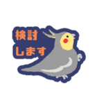 オカメインコパック（個別スタンプ：19）