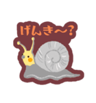 オカメインコパック（個別スタンプ：20）