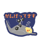 オカメインコパック（個別スタンプ：28）