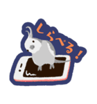 オカメインコパック（個別スタンプ：31）
