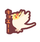 オカメインコパック（個別スタンプ：33）
