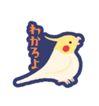 オカメインコパック（個別スタンプ：37）