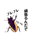 Beetle＆Stag beetle pt.2（個別スタンプ：6）