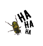 Beetle＆Stag beetle pt.2（個別スタンプ：10）