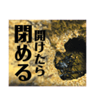 Beetle＆Stag beetle pt.2（個別スタンプ：14）