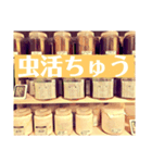 Beetle＆Stag beetle pt.2（個別スタンプ：16）