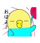 かわいいセキセイインコのシーちゃん 2（個別スタンプ：1）