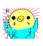 かわいいセキセイインコのシーちゃん 2（個別スタンプ：2）