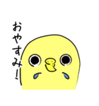 かわいいセキセイインコのシーちゃん 2（個別スタンプ：4）