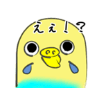 かわいいセキセイインコのシーちゃん 2（個別スタンプ：5）