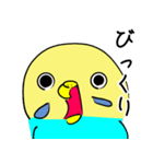 かわいいセキセイインコのシーちゃん 2（個別スタンプ：6）
