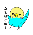かわいいセキセイインコのシーちゃん 2（個別スタンプ：11）