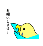 かわいいセキセイインコのシーちゃん 2（個別スタンプ：15）