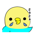 かわいいセキセイインコのシーちゃん 2（個別スタンプ：17）