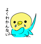 かわいいセキセイインコのシーちゃん 2（個別スタンプ：19）