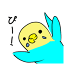 かわいいセキセイインコのシーちゃん 2（個別スタンプ：20）