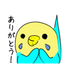かわいいセキセイインコのシーちゃん 2（個別スタンプ：27）