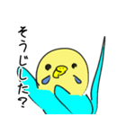 かわいいセキセイインコのシーちゃん 2（個別スタンプ：36）