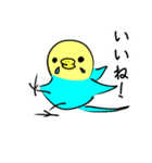 かわいいセキセイインコのシーちゃん 2（個別スタンプ：40）