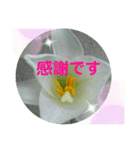Yoake 3（個別スタンプ：2）