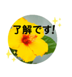 Yoake 3（個別スタンプ：4）