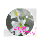 Yoake 3（個別スタンプ：7）