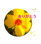 Yoake 3（個別スタンプ：8）