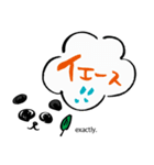 パンダトーク（筆文字）（個別スタンプ：13）