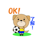 ブラジルのサッカー犬（個別スタンプ：3）