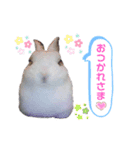 アールくんと愉快な仲間たち（個別スタンプ：1）