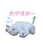 アールくんと愉快な仲間たち（個別スタンプ：3）