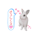 アールくんと愉快な仲間たち（個別スタンプ：5）