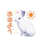アールくんと愉快な仲間たち（個別スタンプ：7）