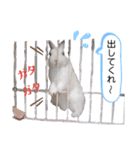 アールくんと愉快な仲間たち（個別スタンプ：9）