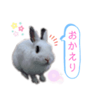 アールくんと愉快な仲間たち（個別スタンプ：12）