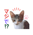 アールくんと愉快な仲間たち（個別スタンプ：14）