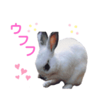 アールくんと愉快な仲間たち（個別スタンプ：15）