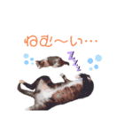 アールくんと愉快な仲間たち（個別スタンプ：16）