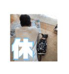 あんずはいつも寝てる（個別スタンプ：12）