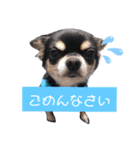 おうちのるいくん（個別スタンプ：5）