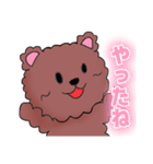 クマのクマカ（個別スタンプ：1）